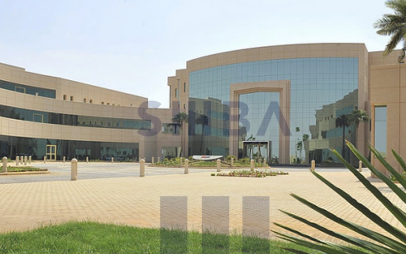 Universities and schools